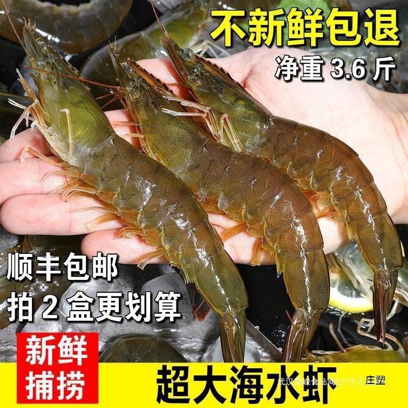 新鲜海捕大虾海虾大对虾鲜活冷冻基围虾明虾非青岛大虾水产-阿里巴巴