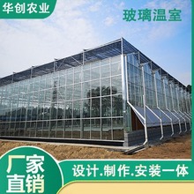 智能连栋玻璃文洛式花卉温室大棚骨架玻璃连栋温室大棚 品质保证