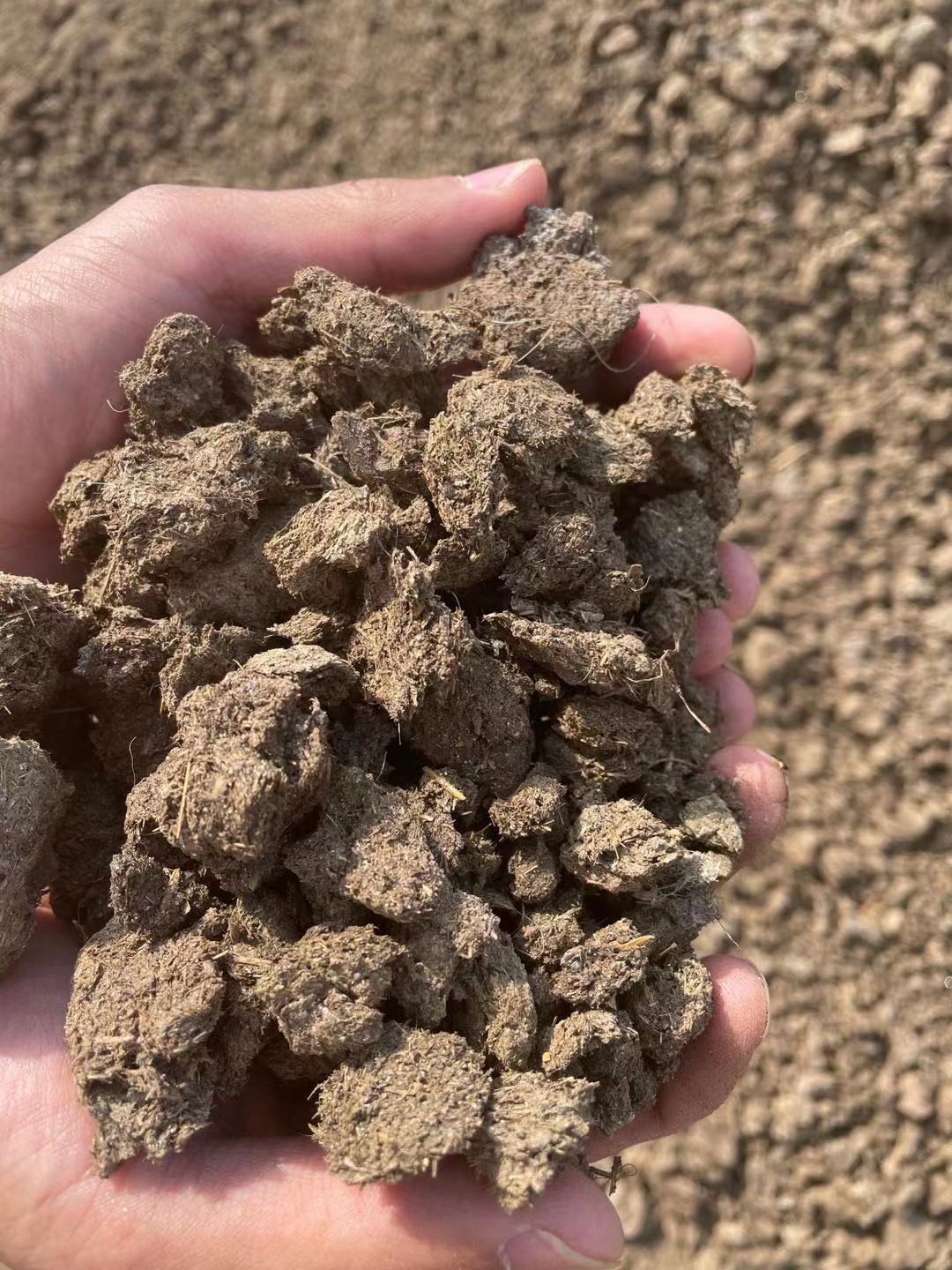 干鸡粪生物有机肥大棚蔬菜果树用晒干鸡粪块鸡粪底肥厂家批发