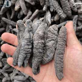 一手批发黑乌參中乌參 大乌虫參43头 小岛乌參淡干颜色黑海参干货