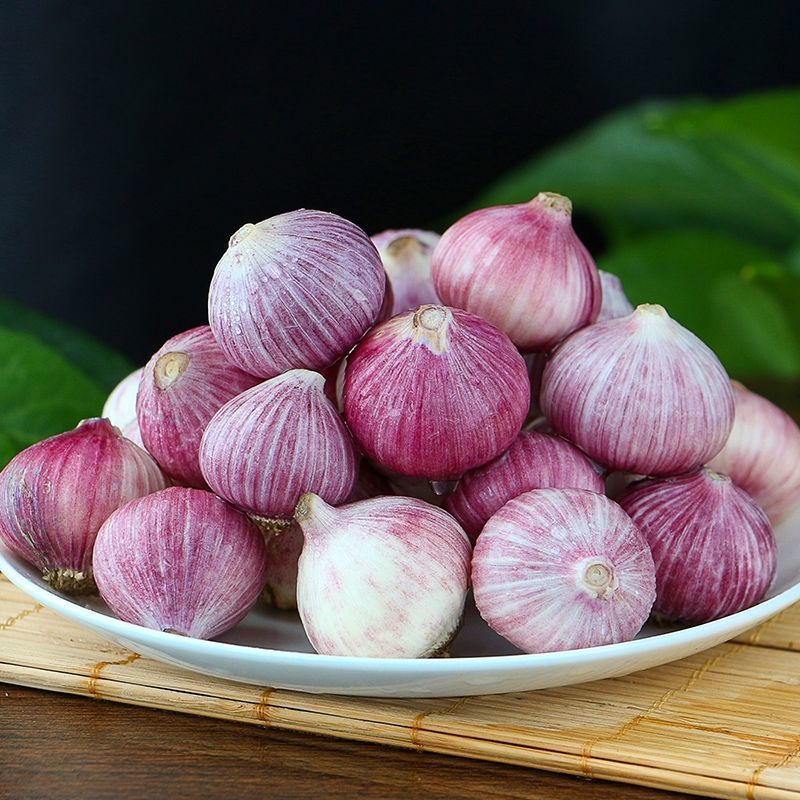 【现挖湿蒜云南新鲜紫皮大蒜独头蒜红大蒜头新蒜头鲜蒜头批发5斤