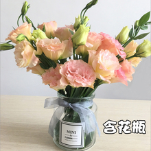 母亲节全国洋牡丹花束配送女友生日鲜花速递同城北京上海全国花店