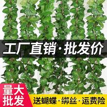 仿真葡萄叶假花藤条藤蔓植物塑料绿萝树叶子绿叶下水管道装饰吊顶