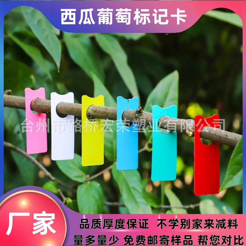 0成交308件葡萄记号卡彩色园林用品色卡植物吊牌西瓜标记牌花卉环扣