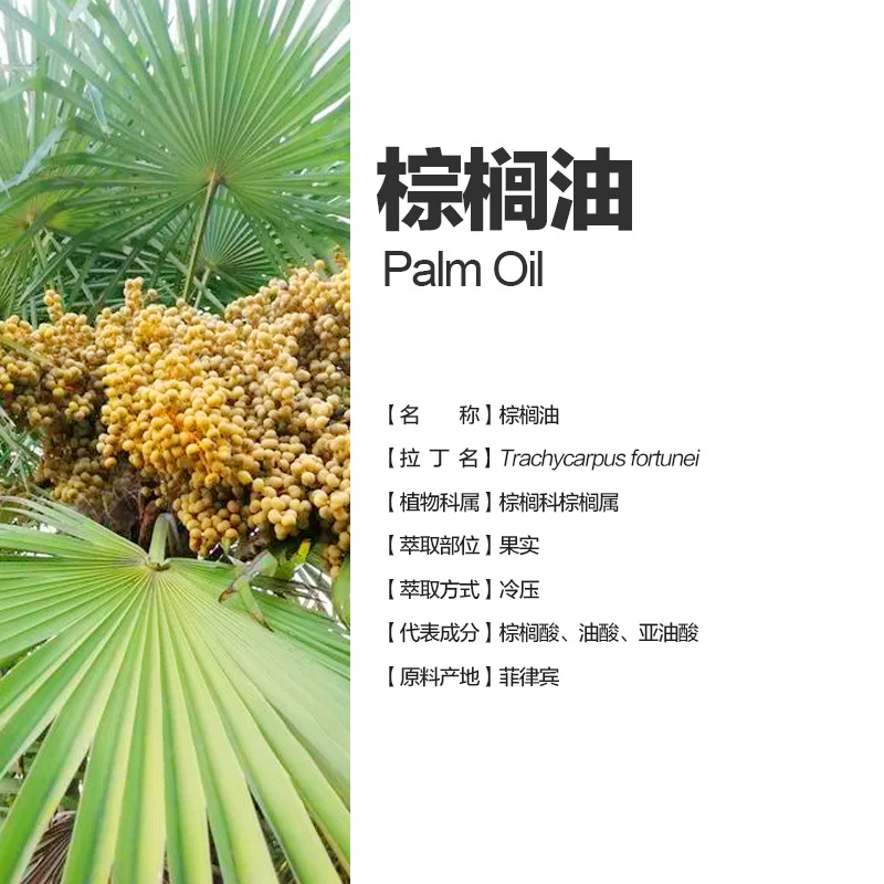 阿甘树棕榈油palm
