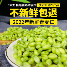 2023新鲜青麦仁青麦粒麦穗自产麦子青小麦嫩麦籽杂粮鲜绿麦仁包邮