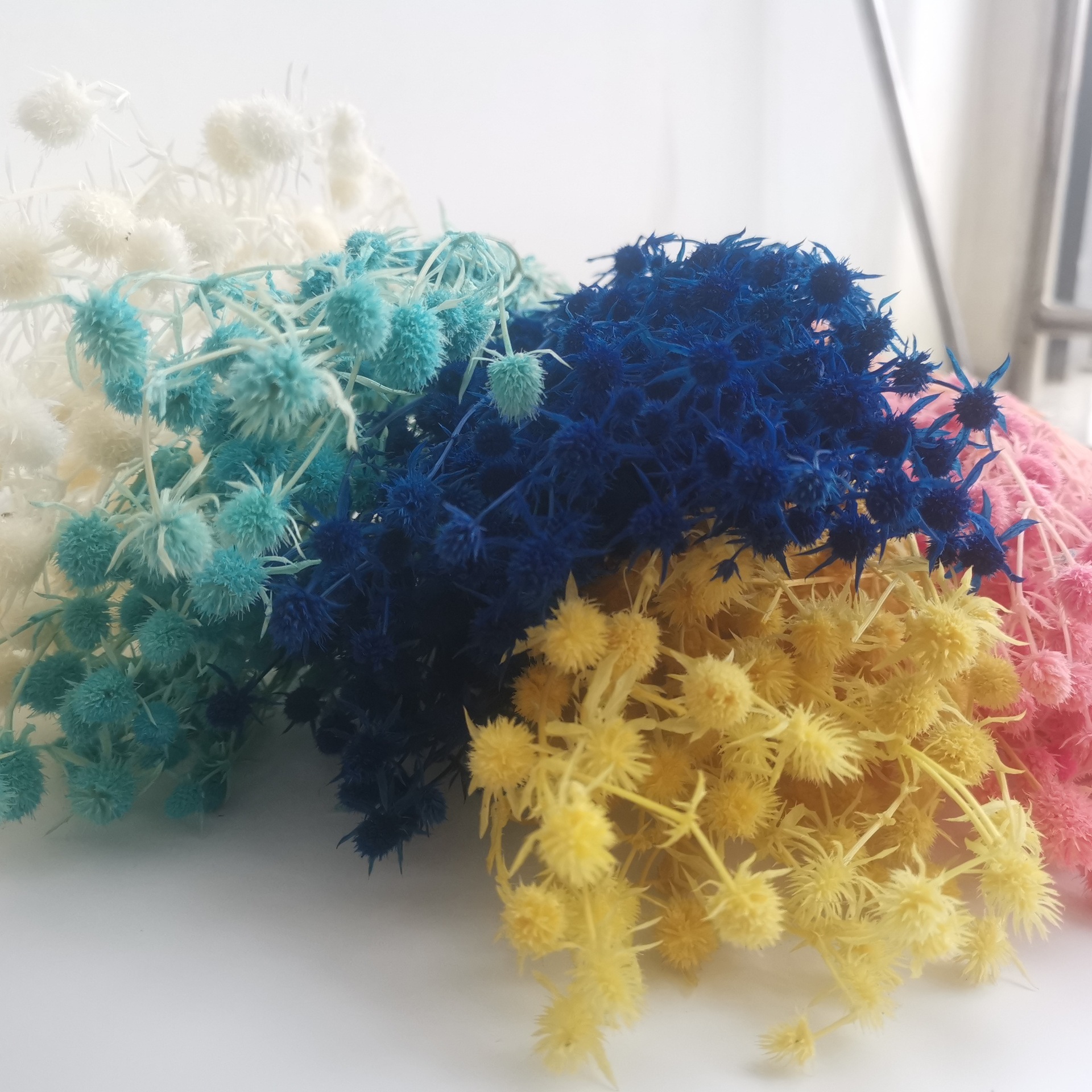 【情人果永生花】干花云南批发小刺芹家具装饰礼盒配材工艺品花材