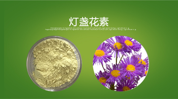 灯盏花素 99% 100g/袋灯盏花提取物 五色花生物 厂商现货
