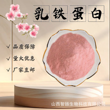 现货包邮 乳铁蛋白 90%纯度 CAS112163-33-4 营养强化剂 100g/袋