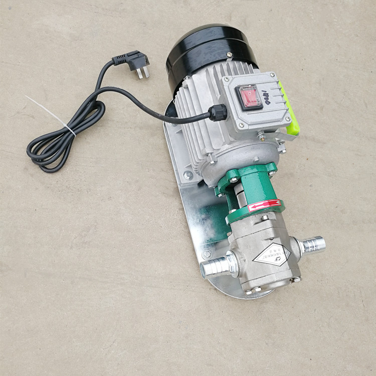 wcb微型便携式手提泵220v单项380v三项电动自吸齿轮油泵不锈钢泵