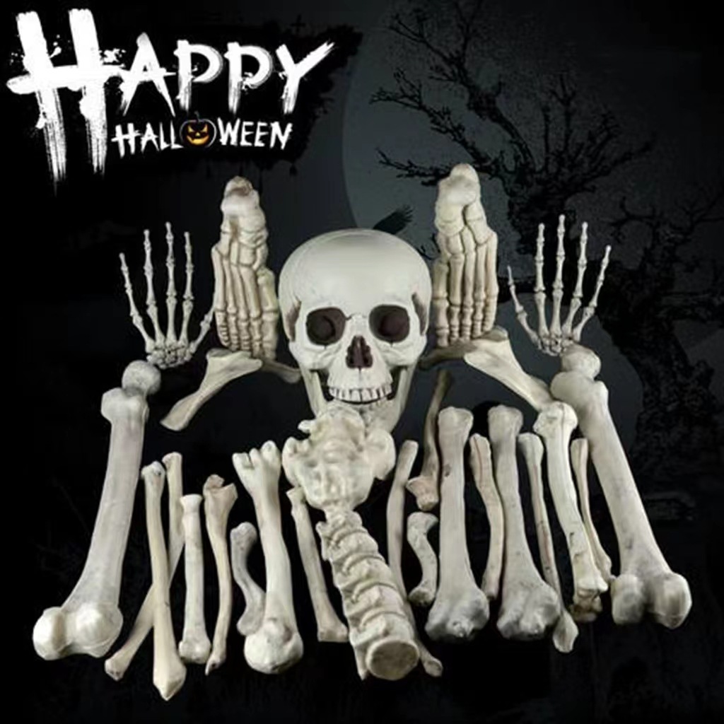 Manufacturer Ghost Festival Skull Skeleton Wansheng Human Skeleton Trick Toy Decorative Pendant Props Joint Movable