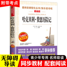 哈克贝利费恩历险记三四五六年级经典读物青少年无障碍精读本正版