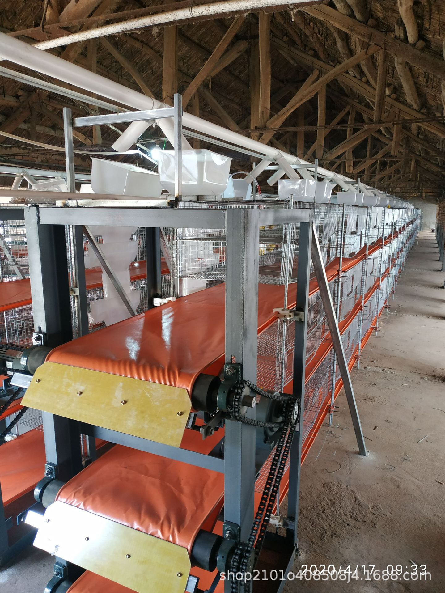 加密加重鹌鹑集蛋笼,两层一粪带鹌鹑清粪机,鹌鹑饲养全自动加料