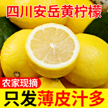 四川安岳黄柠檬5斤新鲜水果皮薄当季整箱10香水甜青柠檬包邮