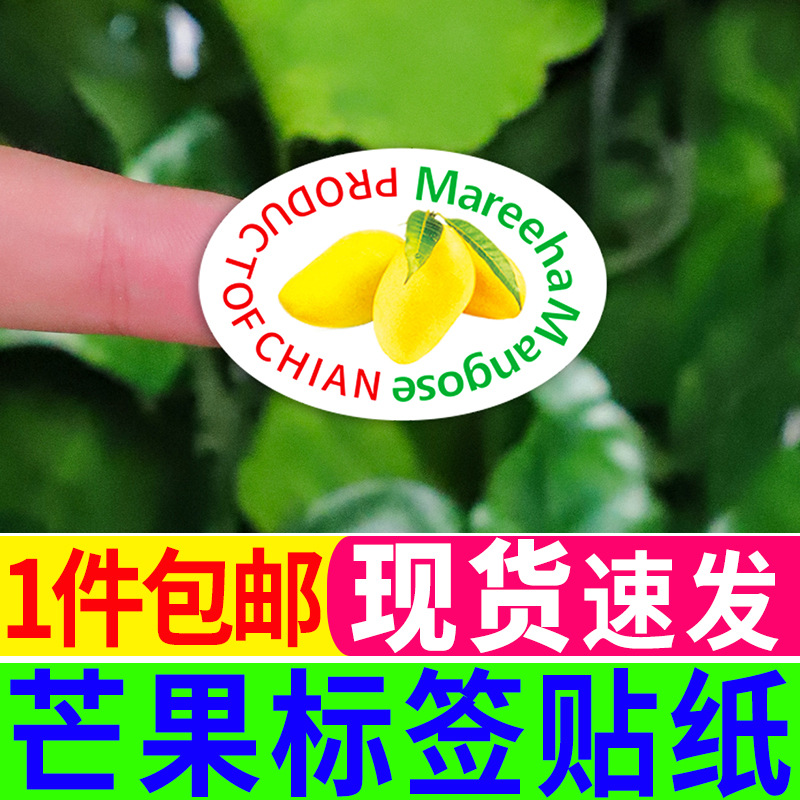 芒果不干胶标签贴纸精品芒果青皮水仙芒金煌凯帝红象牙芒贴纸88