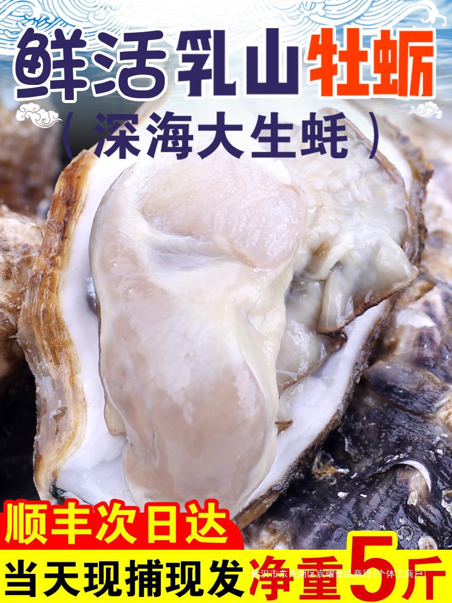 包活乳山生蚝鲜活牡蛎新鲜特大肥海蛎子5斤海鲜水产整箱顺丰包邮