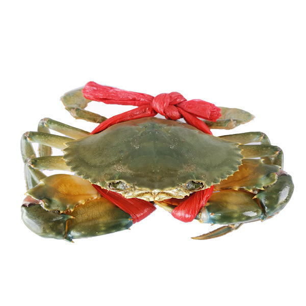 3斤顺丰包邮海捕小青蟹鲜活公蟹母蟹红黄膏蟹海鲜水产海螃蟹