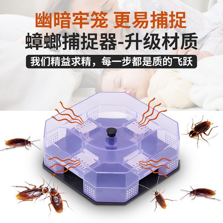 家用驱抓贴粘除灭蟑螂神器一窝端蟑螂诱捕效蟑螂药厂家批发-阿里巴巴