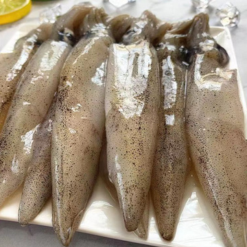 ny青岛海捕毕管鱼新鲜管鱼笔管蛸海兔籽乌小乌贼鱿鱼海鲜速冻发货