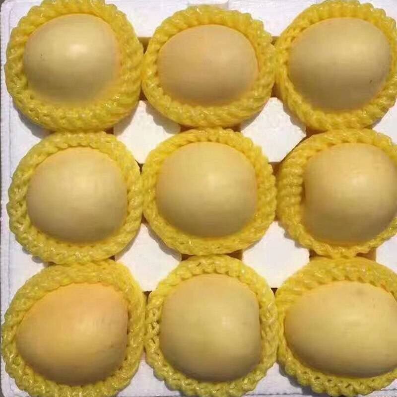 10斤包邮烟台黄金奶油富士苹果 牛奶苹果 新鲜水果 脆甜丑果苹果