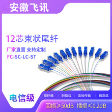 安徽飞讯推荐SC FC LC方头单模12芯束状尾纤