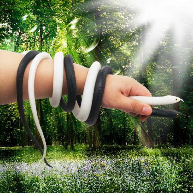 【广州大蛇】-广州大蛇厂家,品牌,图片,热帖-阿里巴巴