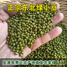 东北小绿豆农家自产皮薄发绿豆芽夏天熬绿豆汤豆沙五谷杂粮粥500g