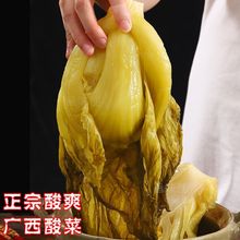 酸菜广西芥菜老坛酸菜包心腌制发酵正袋装宗酸菜鱼用餐饮商用批发