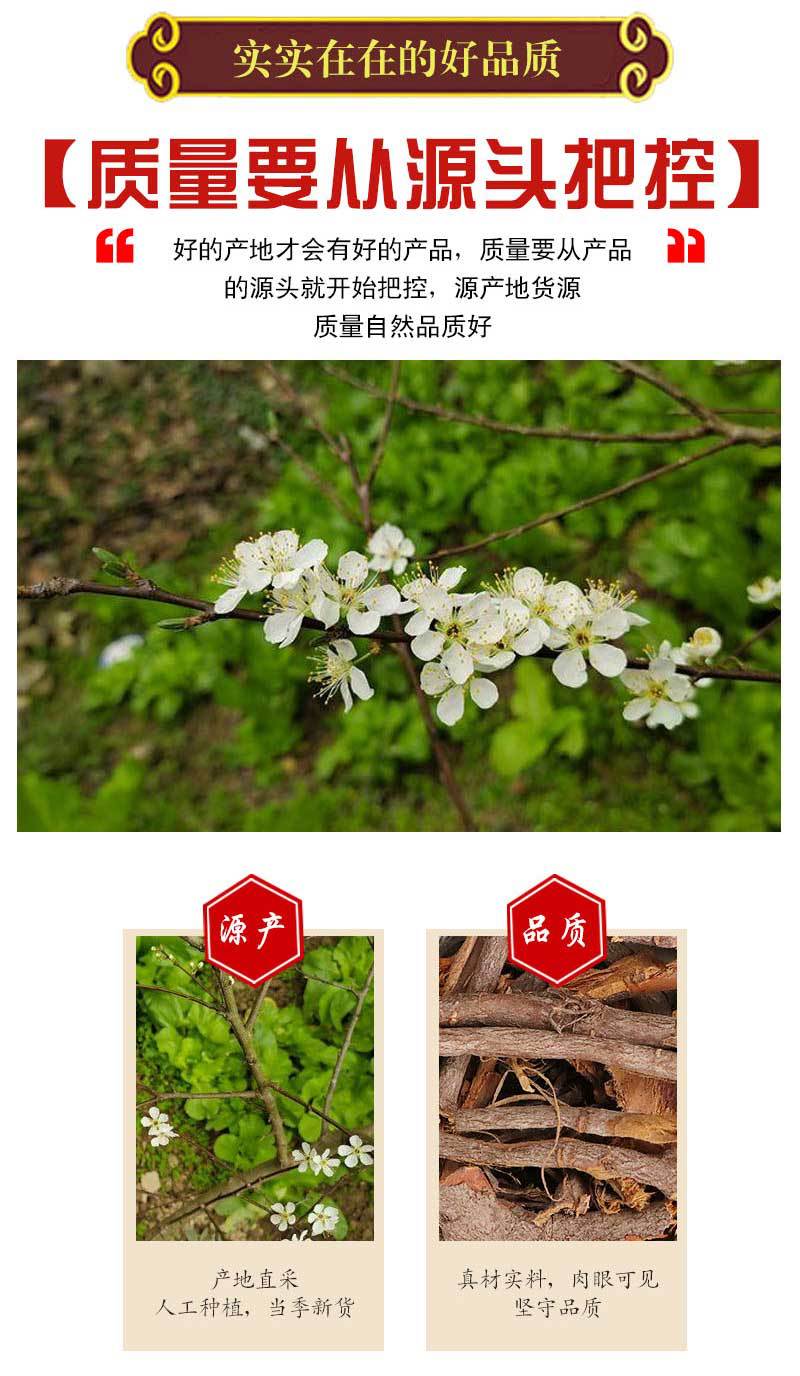 李根皮中药材 500克 李根白皮 甘李根白皮 根皮 冷背药材大全