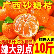 正宗广西沙糖桔水果薄皮桔子应季水果砂糖橘整箱批发大果