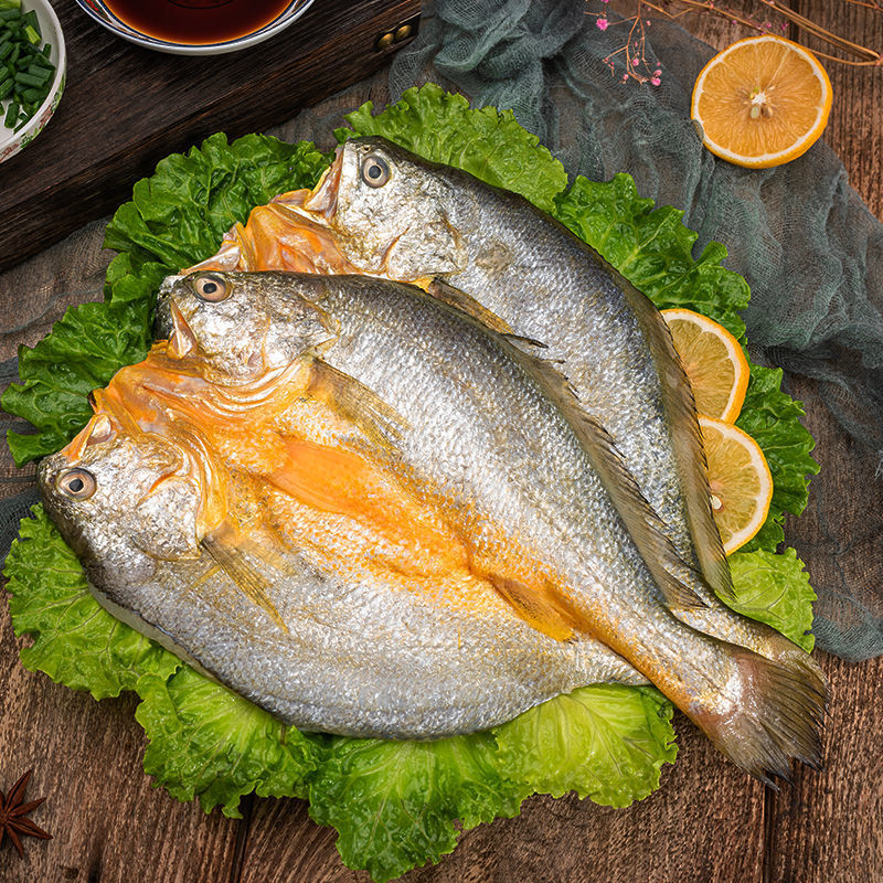 宁德大黄鱼新鲜黄花鱼整箱批发鲜活水产黄鱼鲞海鱼东海大黄鱼