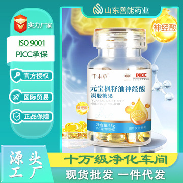 神经酸元宝枫籽油凝胶糖果软胶囊元宝枫籽口服油元宝枫籽油软胶囊