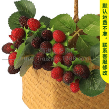 厂家批发仿真桑葚树莓高黑刺莓覆盆莓仿真植物仿真果树枝