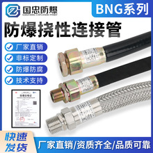 BNG防爆挠性管防爆软管挠性连接管防爆电缆穿线管4/6分接线绕线管