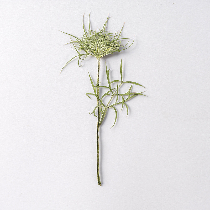 阿米芹 压花干花押花带枝真花活动书签材料包滴胶手机壳植物标本