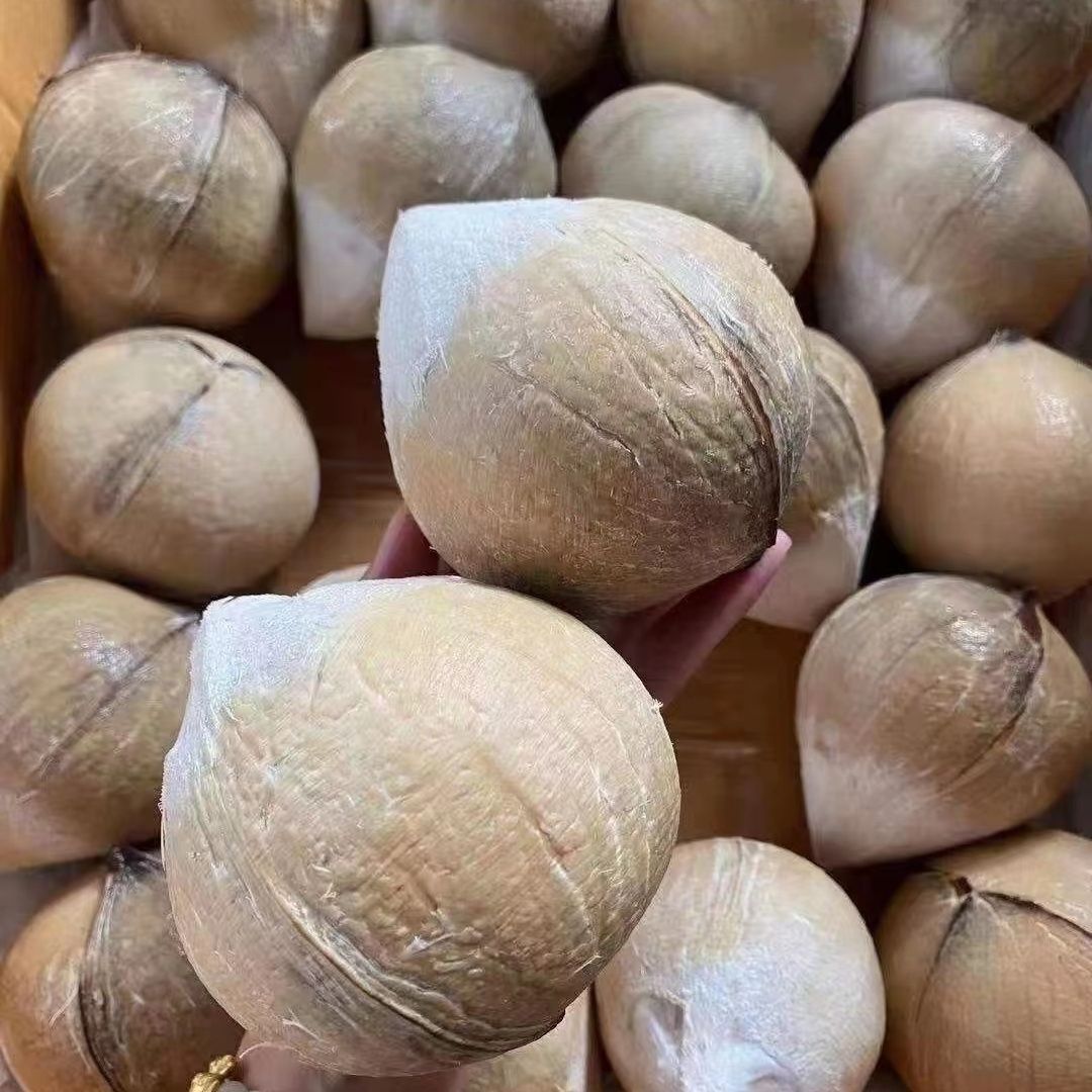 椰青批发泰国牛奶椰子新鲜皇小椰子当季水果香水椰子香椰跨境电商