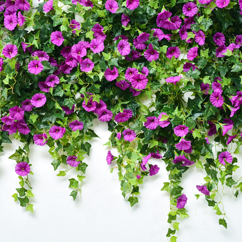 藤蔓藤吊篮植物牵牛花仿真假藤条牵牛垂吊花吊兰摆设花装饰壁挂塑