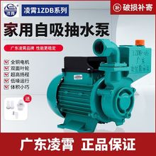 广东凌霄牌水泵1ZDB35/45/65型自吸清水泵家用自来水抽水机增压泵
