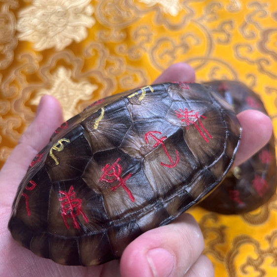天然真龟壳手工雕刻字龟甲周易摇卦六爻三爻工具文玩把件文玩摆件