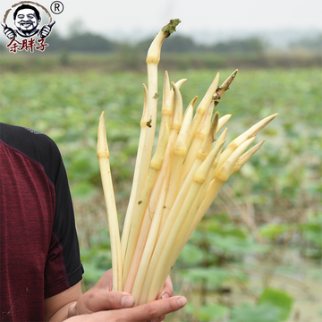 ly湖北特产洪湖新鲜藕带藕尖洪湖藕带藕占藕心现挖顺丰包邮