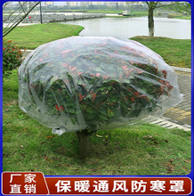 加厚塑料薄膜 花卉绿植盆栽过冬防冻保温膜袋植物冬季果树防寒罩