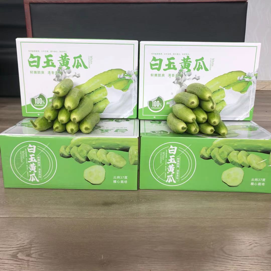 白玉黄瓜新鲜
