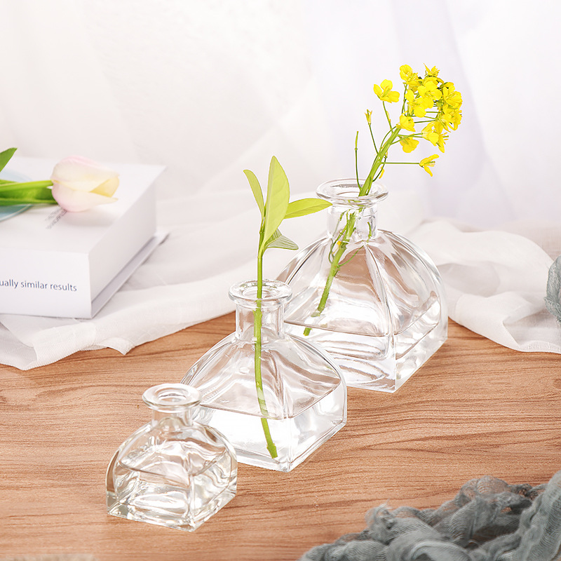 Creative Nordic Glass Vase Transparent Hydroponic Vase Desk Decoration Bottle Yurt Home Glass Bottle Decoration