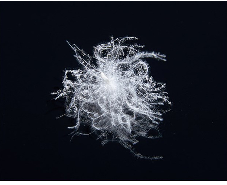 厂家直销水洗90白鸭绒清洁轻盈蓬松柔软填充羽绒服羽绒枕羽绒被