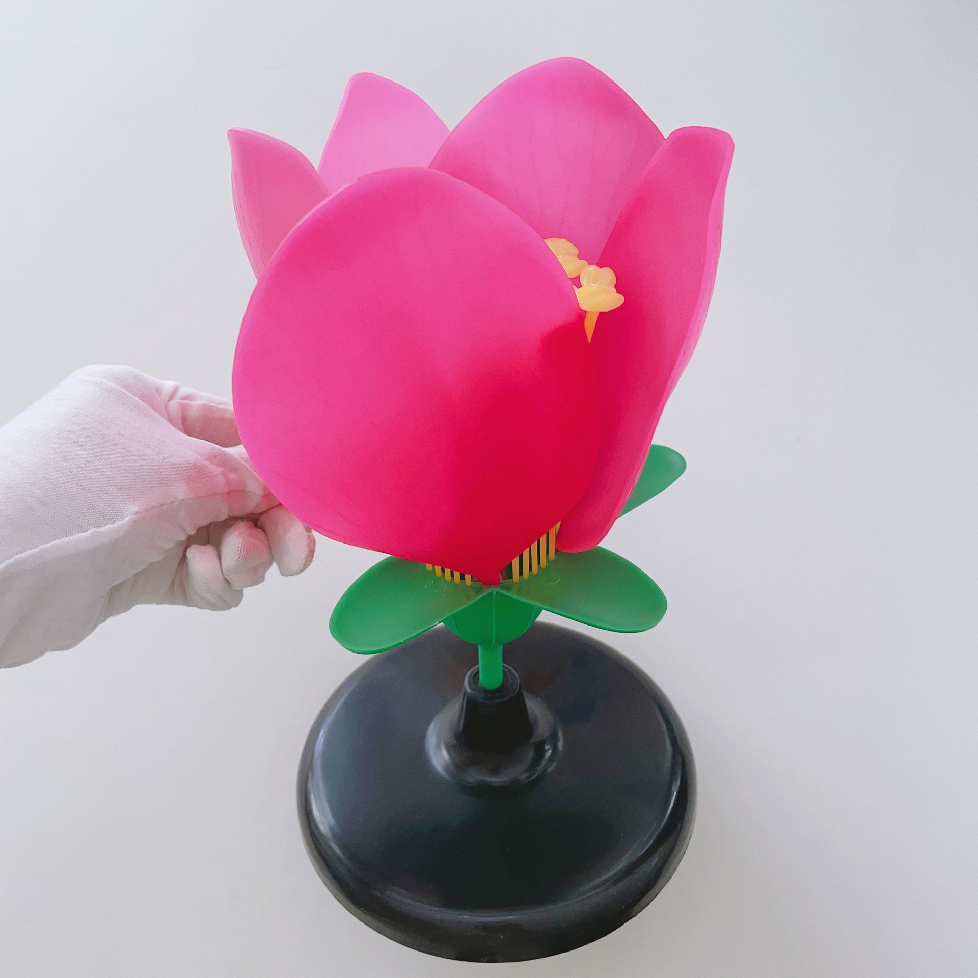 j33007桃花模型向阳花模物花结构直观展示模型生物教学演示用