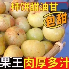 潮汕甜种油甘果现摘新鲜青皮新果余甘果牛甘果柿饼水果包甜厂批发