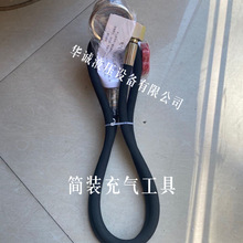 QC12Y剪板机充气工具冲氮气工具NXQ蓄能器CQJ-16/25/40Mpa充气阀