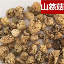 山慈菇茅毛慈菇山茨姑冰球子磨粉新鲜干货500克光慈姑批发