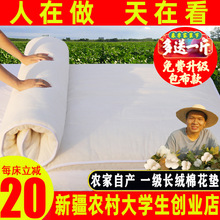 新疆棉花床垫棉絮垫被床褥学生单人宿舍家用软垫被褥子垫子榻榻米