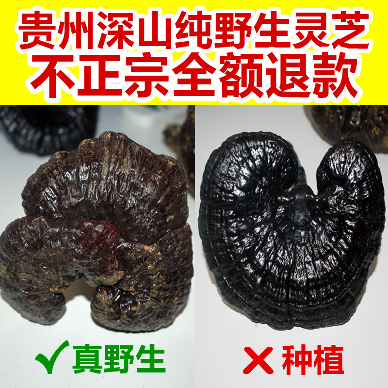 包邮贵州纯野生赤灵芝干货整朵天然整枝林芝草一斤可切片-阿里巴巴